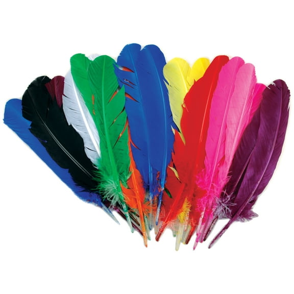 Turkey Quill Feathers 25/PkgAssorted