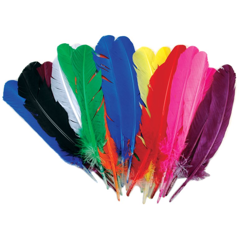 Zucker - Turkey Quills by Pound - Bulk Feathers for Crafting, Decoration,  Home Décor, Holiday Decorating, Weddings and Events, Cosplay, Costumes 