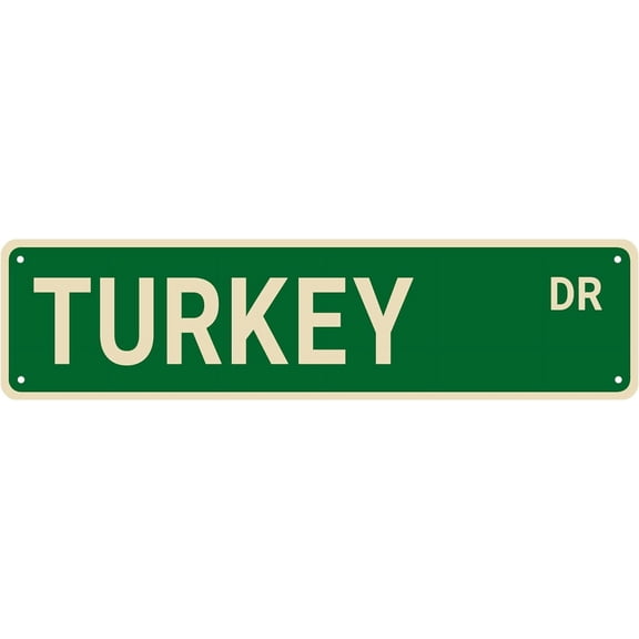 Turkey Street Signs, Turkey Decor Turkey Sign Turkey Gift, Wall Decor for Home/Driveway/Man Cave/Bar, Quality Metal Signs 16x4 Inch