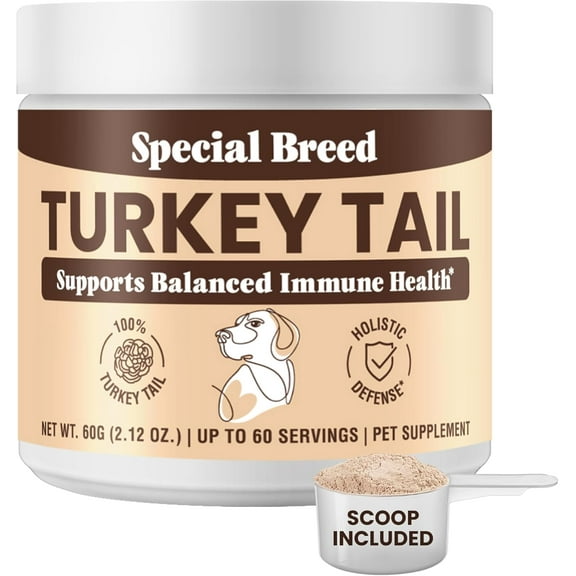 Turkey Tail Mushroom for Dogs - Organic Turkey Tail for Dogs Mushroom Powder for Respiratory, Immunity, Digestion - with Beta Glucans & Polysaccharides, No Fillers - 60 Scoops