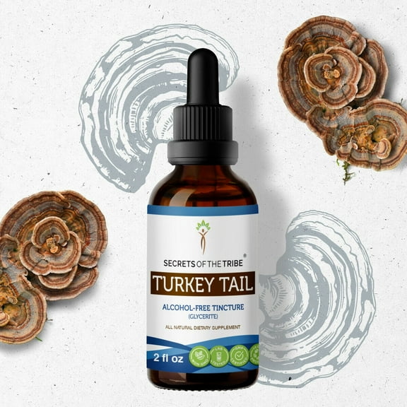 Secrets Of The Tribe Turkey Tail Tincture Dietary Supplement, Natural Herbal Extract for Immune Support, Turkey Tail (Trametes versicolor) Dried Mushroom, Alcohol-Free Extract, Drops 2 oz