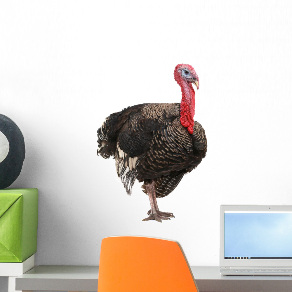 Turkey Wall Decal Sticker by Wallmonkeys Vinyl Peel and Stick Graphic ...