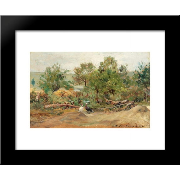 Turkeys in Vlaici 20x24 Framed Art Print by Nicolae Vermont