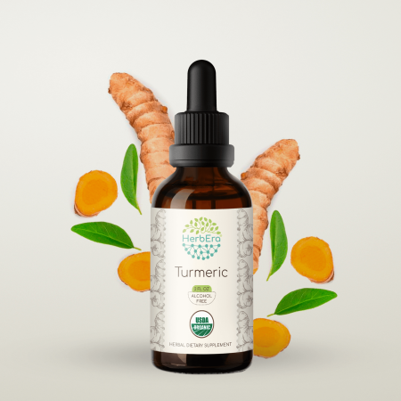 HerbEra Turmeric Tincture, Organic Herbal Dietary Supplement for Joint Support, Certified Organic Turmeric (Curcuma longa) Dried Root Extract, Natural, Alcohol-Free, Drops 2 oz
