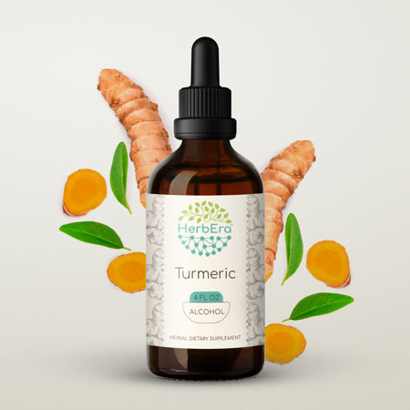 Turmeric Alcohol Herbal Extract Tincture, Super-Concentrated Turmeric (Curcuma Longa) Dried Root 4 oz