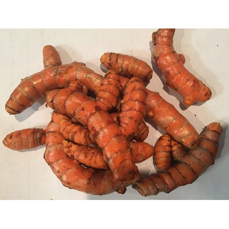 Turmeric Root - Whole Raw Organic Root - 5 Lb. Lots by Fiji Fresh