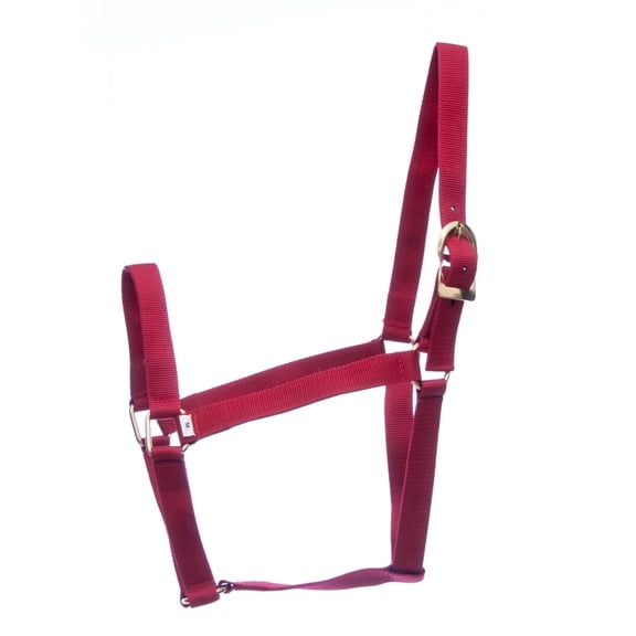 Jeffers Equine Turnout Nylon Halter for Horses, Red - 2 Ply Durable Nylon Webbing, Adjustable Headcollar w/ Metal Hardware, Equestrian Horse Halter for Stable & Ranch Use - 2 Year Old 600-900 lbs