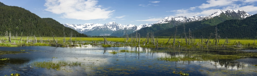 Turnagain Arm with Chugach Mountains in the backgrounds Southcentral Alaska Alaska USA Canvas Art - Panoramic Images (27 x 9)