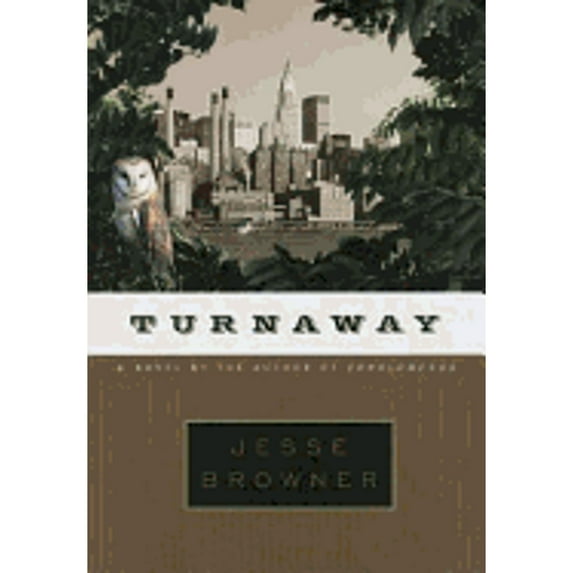 Pre-Owned Turnaway (Hardcover) 0679447881 9780679447887