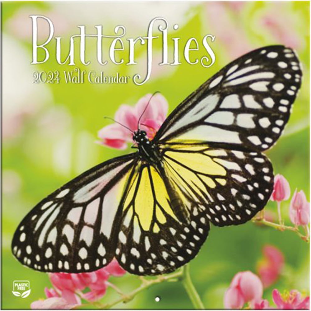 Turner Photographic Butterflies Mini Wall Calendar 2026 - 7x14 Inches, Plastic-Free, Recyclable