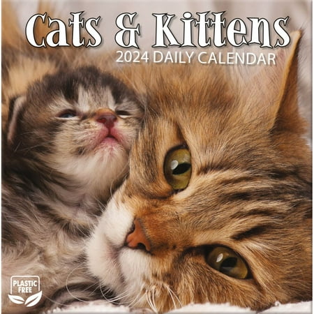 Turner Licensing, Cats And Kittens 2024 Desk Calendar