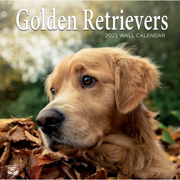 Turner Licensing, Golden Retrievers 2023 Wall Calendar