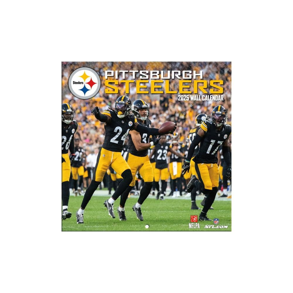 Steelers January 2025 Calendar Denise Shanna