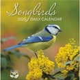 thumbnail image 1 of Turner Licensing, Songbirds 2025 Desk Calendar, 1 of 4