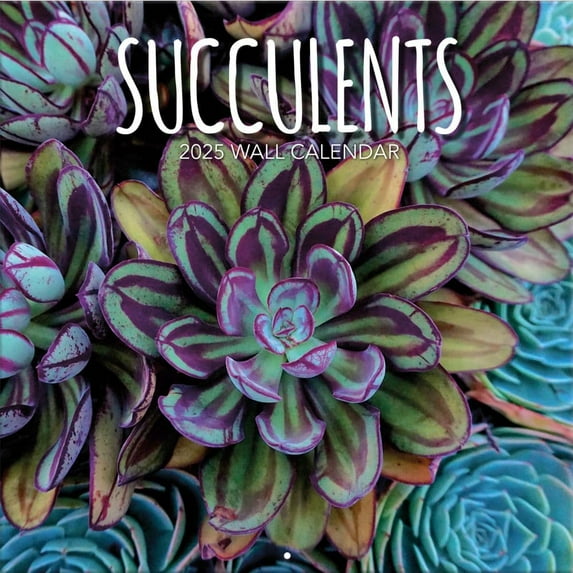 Turner Licensing, Succulents Photo 2025 Wall Calendar
