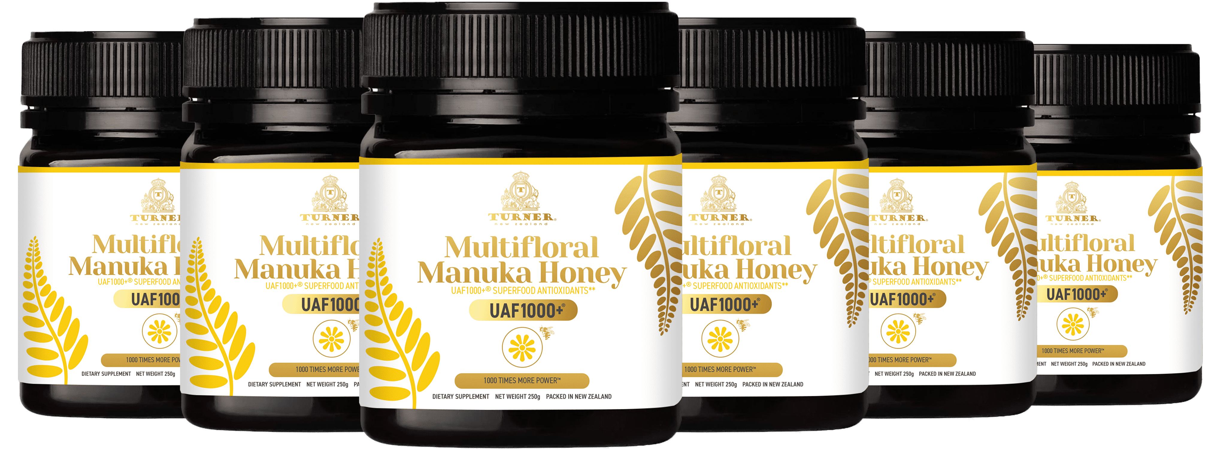 Turner New Zealand Multifloral Manuka Honey, Certified with UAF1000+ Antioxidants, Superfood Antioxidants Supplement, 6 Jars