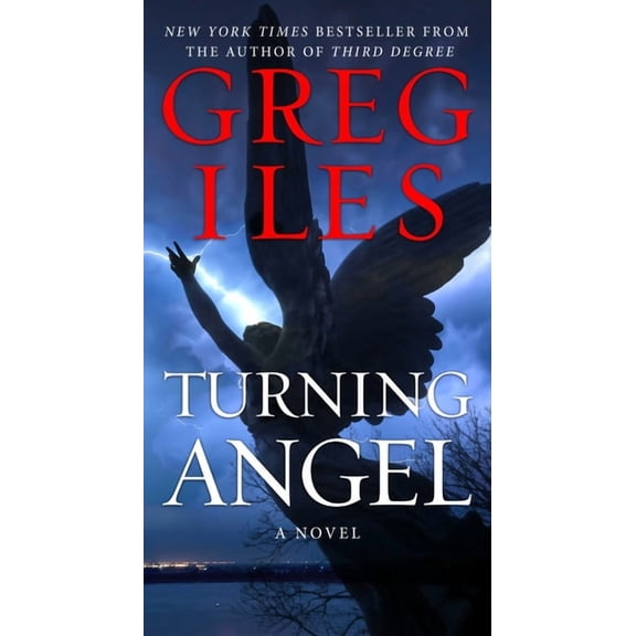 Pre-Owned Turning Angel : A Novel (Paperback)