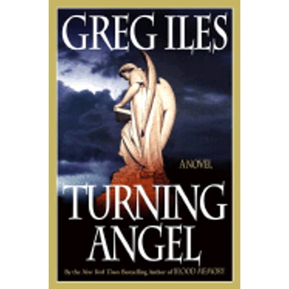 Pre-Owned Turning Angel: A Novel (Hardcover) 0743234715 9780743234719