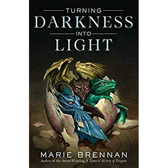 Pre-Owned Turning Darkness Into Light (Hardcover) 0765377616 9780765377616
