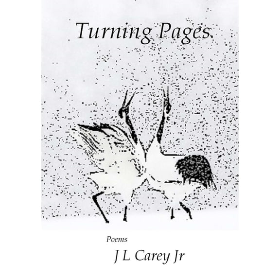 Turning Pages, (Paperback)