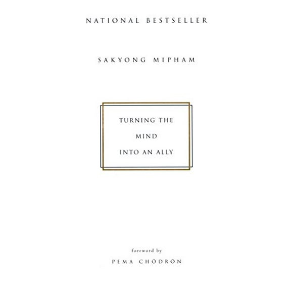 Pre-Owned Turning the Mind Into an Ally (Paperback) 157322345X 9781573223454