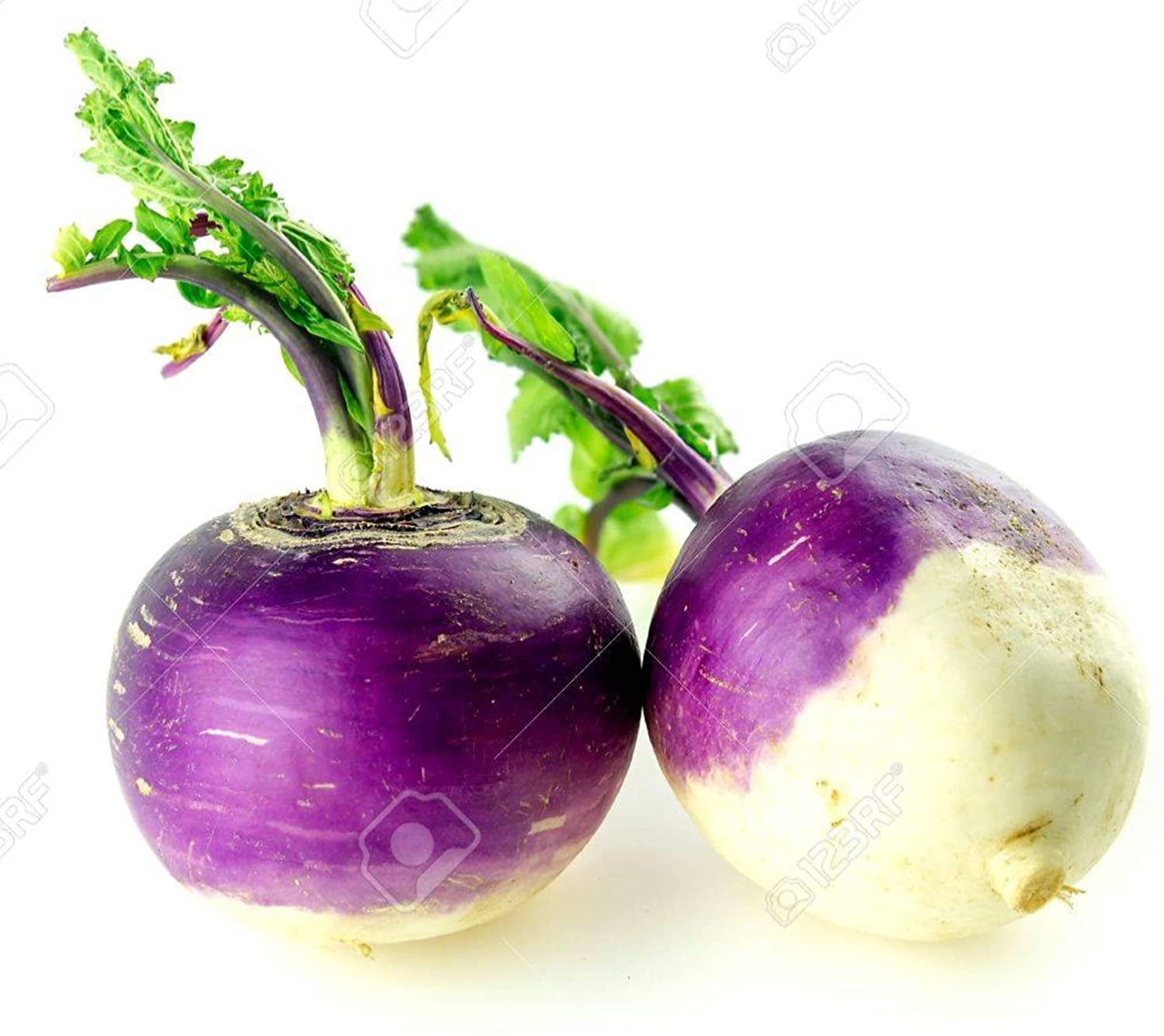 Turnip Garden Seeds - Purple Top White Globe - 5 Lb Bulk - Non-GMO, Heirloom Vegetable Garden  Microgreens Seeds 5 Lb Bag