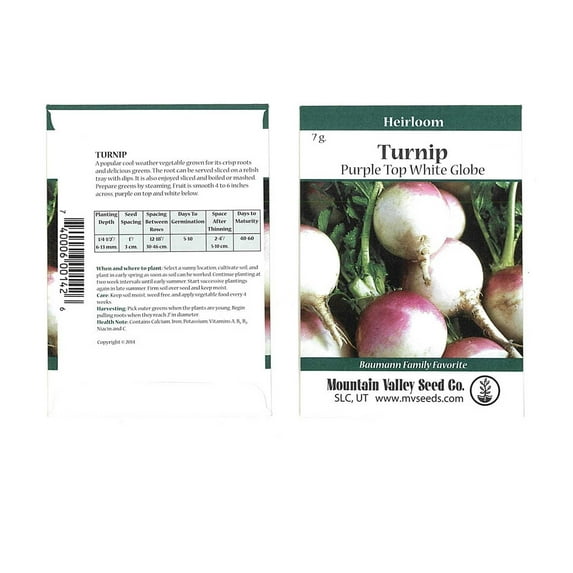 Turnip Garden Seeds - Purple Top White Globe - 7 Gram Packet - Non-GMO, Heirloom Vegetable Garden & Microgreens Seeds