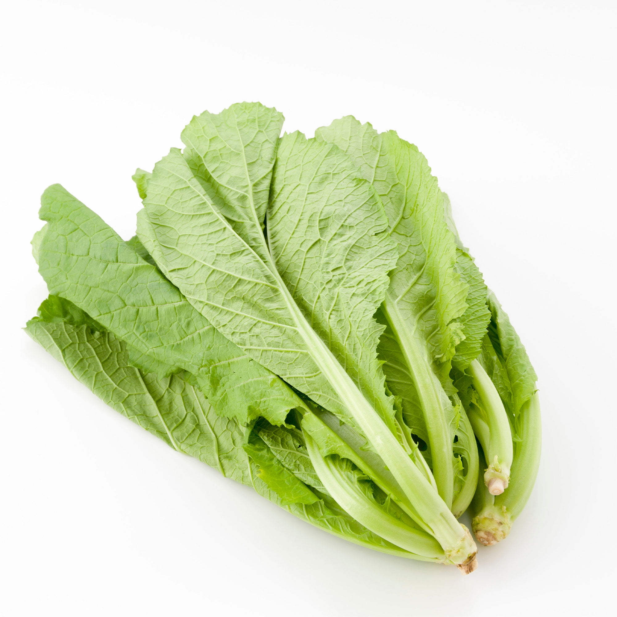 コレクション SAYURAN Plum in Tokyo Salad Turnip v.2 - Fruition Seeds
