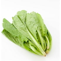 Turnip Seeds - Nozawana - 3 g Packet ~972 Seeds - Non-GMO, Heirloom - Asian Garden Vegetable & Microgreens