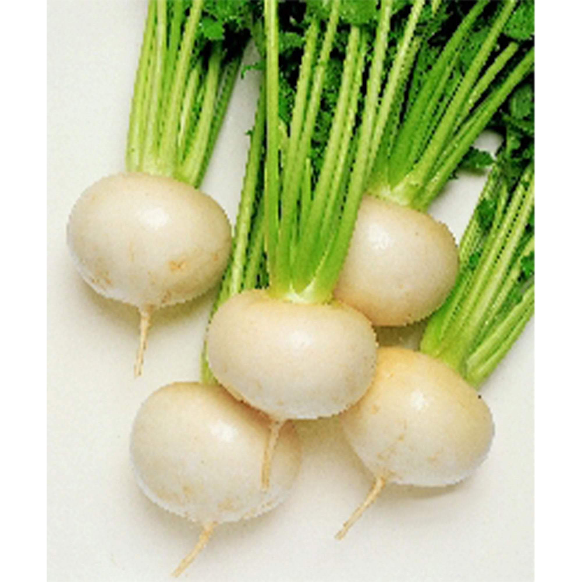 Turnip Seeds - Tokyo Cross - Hybrid - 1 Oz ~9000 Seeds - Non-GMO, F1 Hybrid - Asian Garden Vegetable