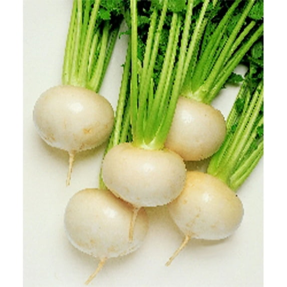 Turnip Seeds - Tokyo Cross - Hybrid - 4 Oz ~36000 Seeds - Non-GMO, F1 Hybrid - Asian Garden Vegetable