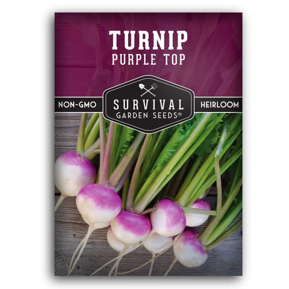 Purple Top Turnip Seeds for Planting | Heirloom Root Vegetable - Biennial, Full Sun (1 Pack)