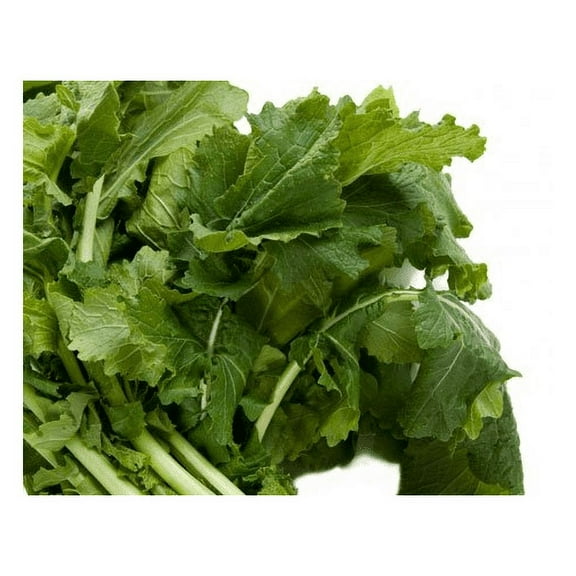 Turnip Seven Top Deer Food Plot Great Heirloom Vegetable by Seed Kingdom Bulk 5 Lb Seeds