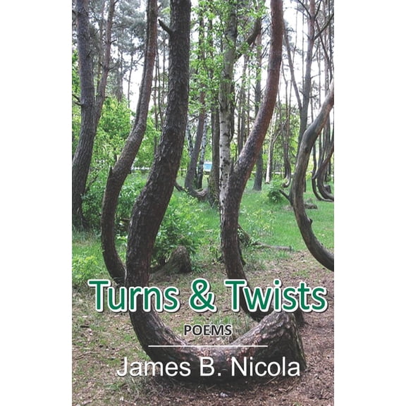 Turns Twists Paperback 8182539420 9788182539426 James B. Nicola