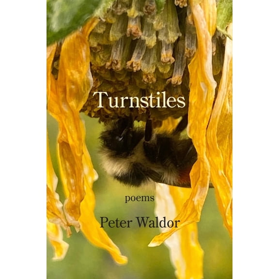 Turnstiles (Paperback)