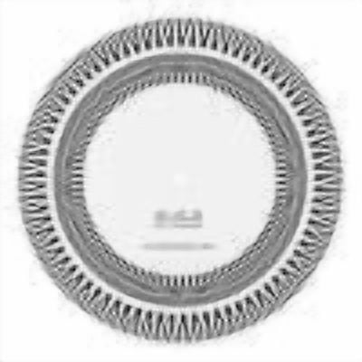 Turntable Strobe Disc, LP Turntables Calibration Disc, Calibration Strobe Disc Double Sided 33/45/78 RPM for Record Players Tests Rotational Speed, White