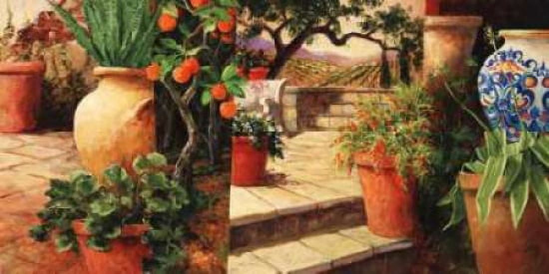 Turo Tuscan Orange Canvas Art - Art Fronckowiak (10 x 20)