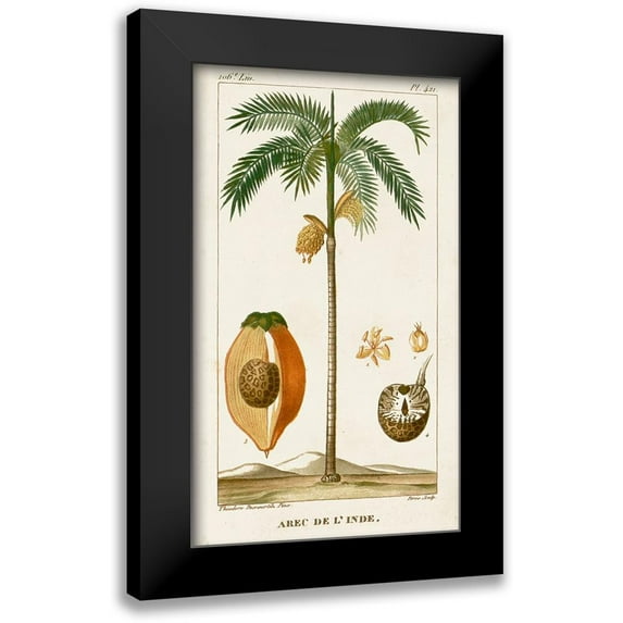 Turpin 10x14 Black Modern Framed Museum Art Print Titled - Turpin Exotic Palms V