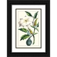 thumbnail image 1 of Turpin 10x14 Black Ornate Wood Framed with Double Matting Museum Art Print Titled - Turpin Exotic Botanical I, 1 of 4