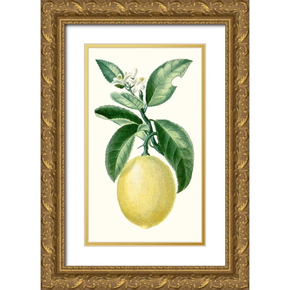 Turpin 10x14 Gold Ornate Wood Framed with Double Matting Museum Art Print Titled - Turpin Fruit I