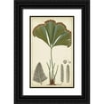 thumbnail image 1 of Turpin 12x18 Black Ornate Wood Framed with Double Matting Museum Art Print Titled - 40x24 Foliage Botanique I (ASH), 1 of 4