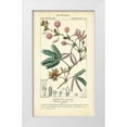 thumbnail image 1 of Turpin 12x18 White Modern Wood Framed Museum Art Print Titled - Botanique Study in Pink IV, 1 of 4