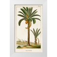 thumbnail image 1 of Turpin 12x18 White Modern Wood Framed Museum Art Print Titled - Turpin Exotic Palms IV, 1 of 4