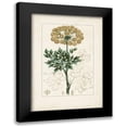 thumbnail image 1 of Turpin 14x18 Black Modern Framed Museum Art Print Titled - Antique Turpin Botanical VI, 1 of 5