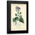 thumbnail image 1 of Turpin 16x24 Black Modern Framed Museum Art Print Titled - Botanique Study in Lavender III, 1 of 5