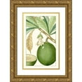 thumbnail image 1 of Turpin 17x24 Gold Ornate Wood Framed with Double Matting Museum Art Print Titled - Turpin Exotic Botanical VIII, 1 of 4
