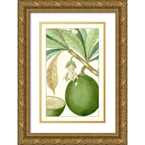 Turpin 17x24 Gold Ornate Wood Framed with Double Matting Museum Art Print Titled - Turpin Exotic Botanical VIII