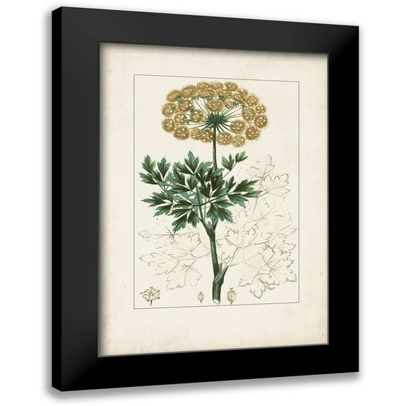 Turpin 18x24 Black Modern Framed Museum Art Print Titled - Antique Turpin Botanical VI