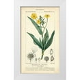 thumbnail image 1 of Turpin 20x32 White Modern Wood Framed Museum Art Print Titled - Botanique Study in Yellow III, 1 of 4