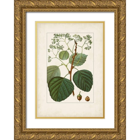 Turpin 24x32 Gold Ornate Wood Framed with Double Matting Museum Art Print Titled - Antique Turpin Botanical IV